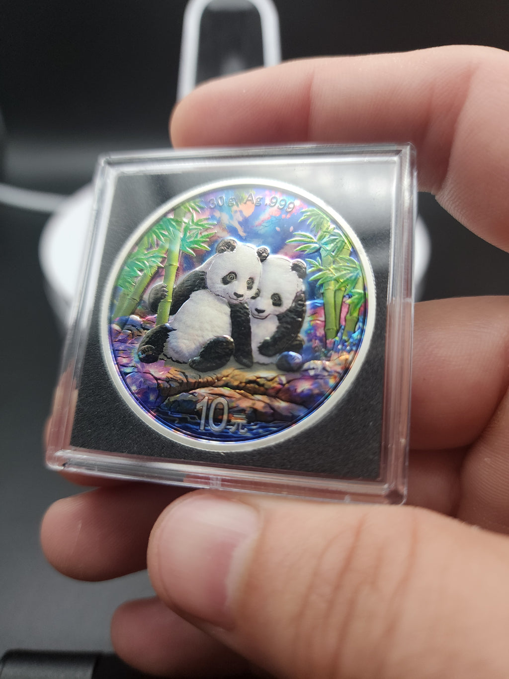 2026 China Enchanted Panda Edition 30gram Silver Coin