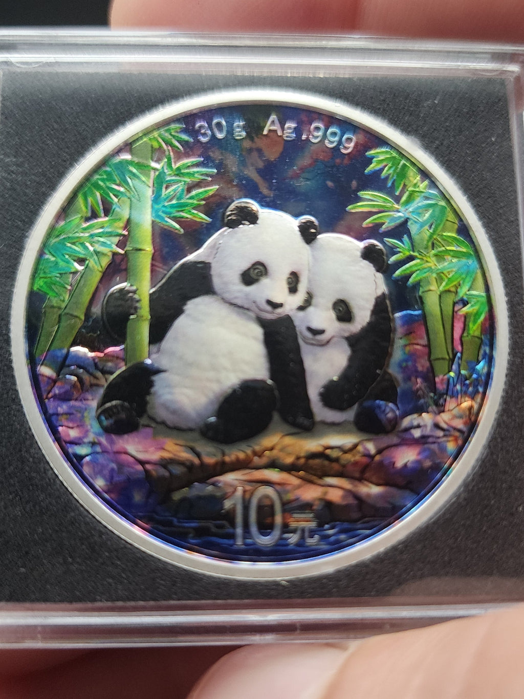 2026 China Enchanted Panda Edition 30gram Silver Coin