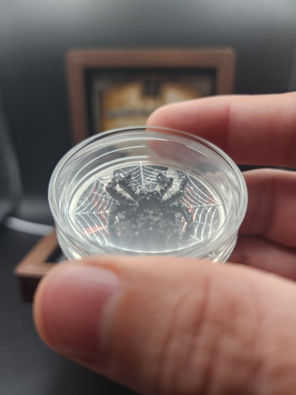 2013 Canadian Maple Venomous Edition Venom w/ Crystal Spider 1oz Silver Coin 199