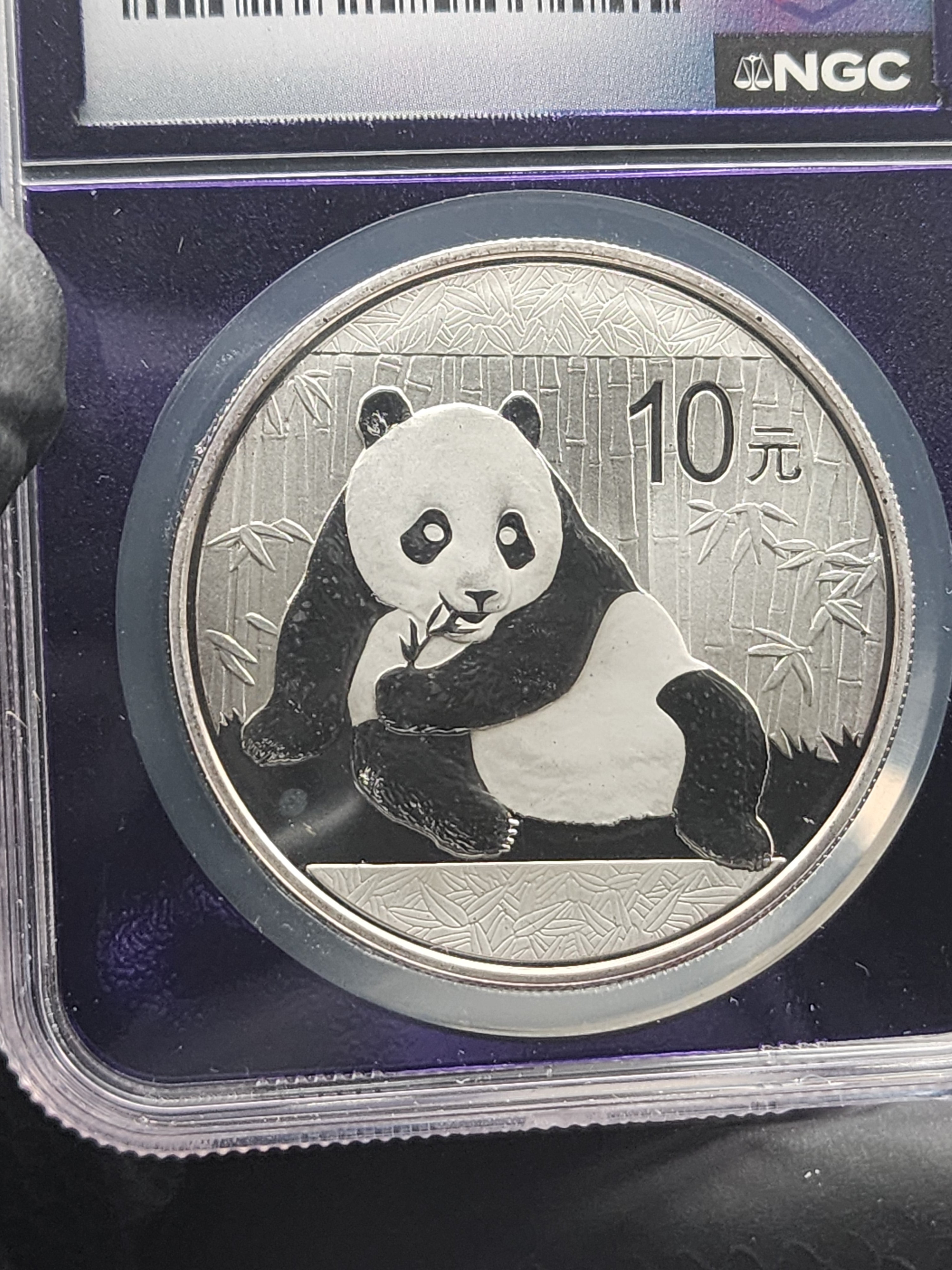 2015 China Silver Panda 1 oz NGC MS69