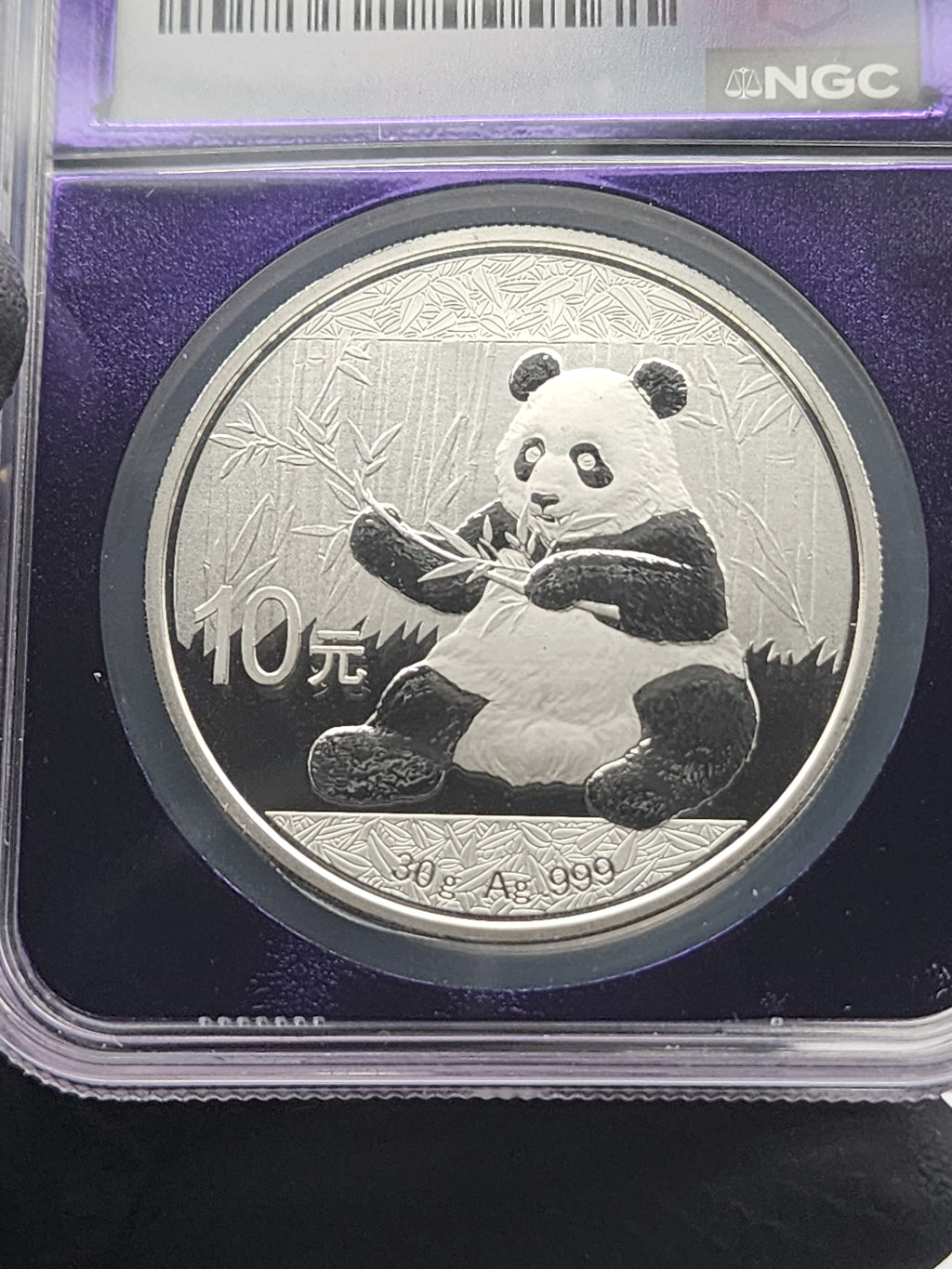 2017 China Silver Panda 30g NGC MS69