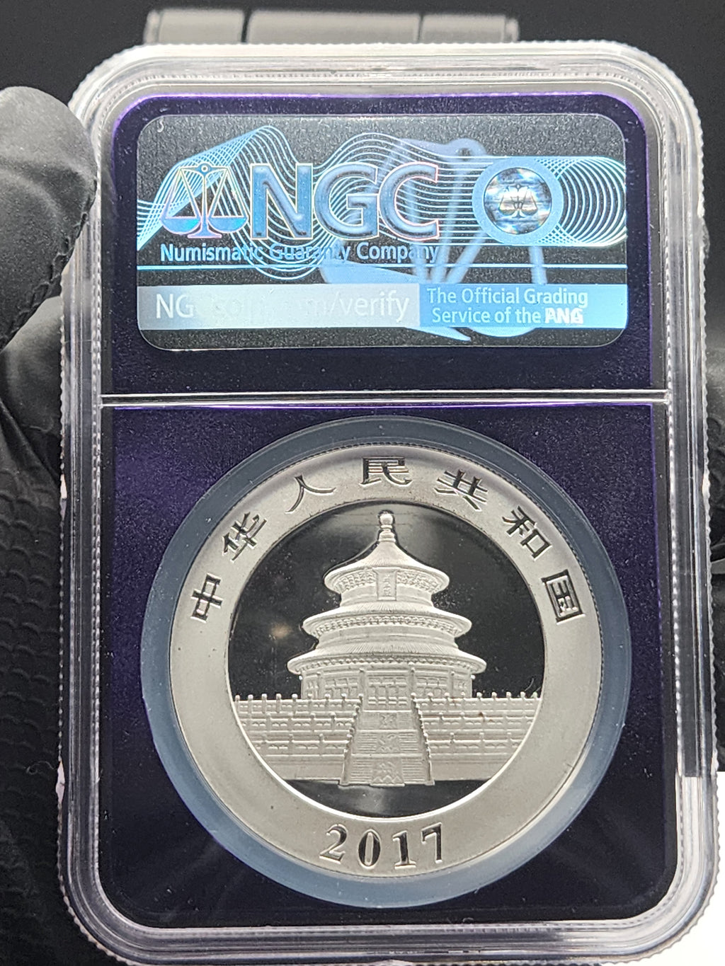 2017 China Silver Panda 30g NGC MS69