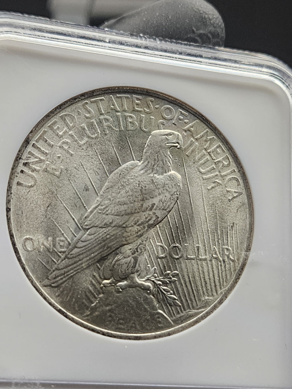 1923 Peace Dollar NGC MS65 Soapbox Holder