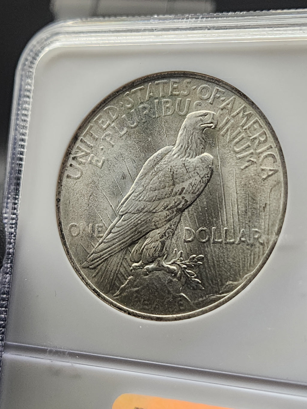 1923 Peace Dollar NGC MS65 Soapbox Holder