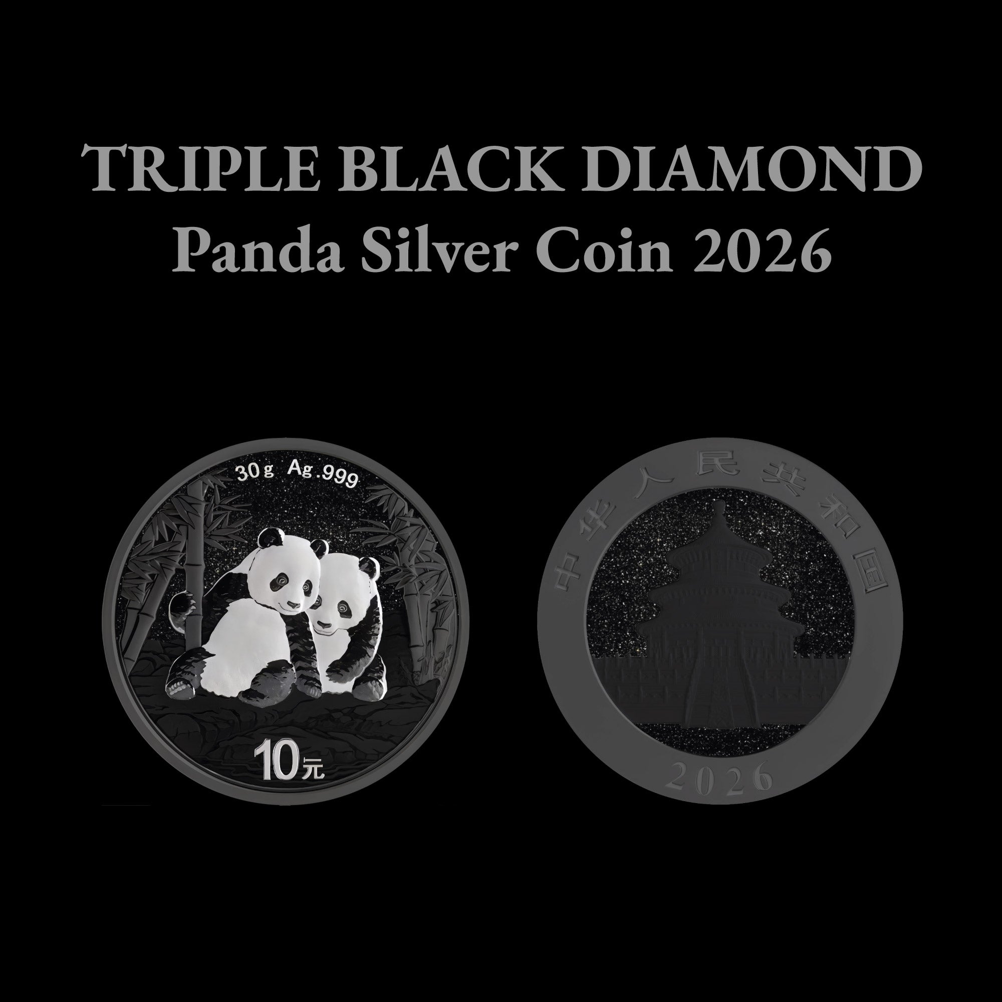 2026 China Panda Triple Black Diamond Edition 30g Silver Coin (250 Mintage)