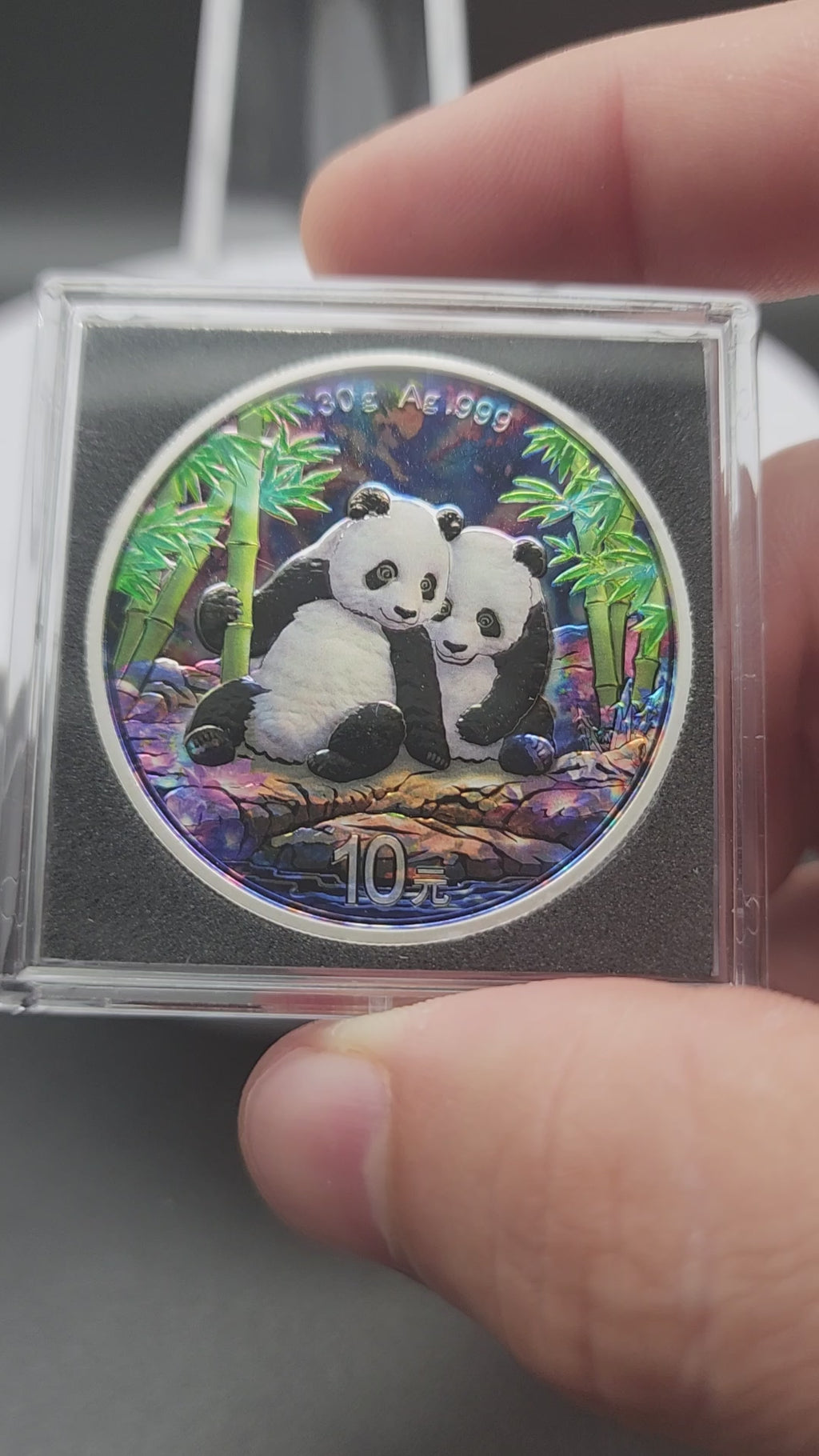 2026 China Enchanted Panda Edition 30gram Silver Coin