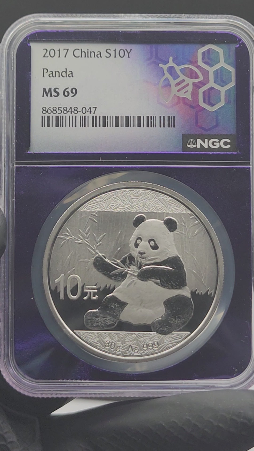 2017 China Silver Panda 30g NGC MS69