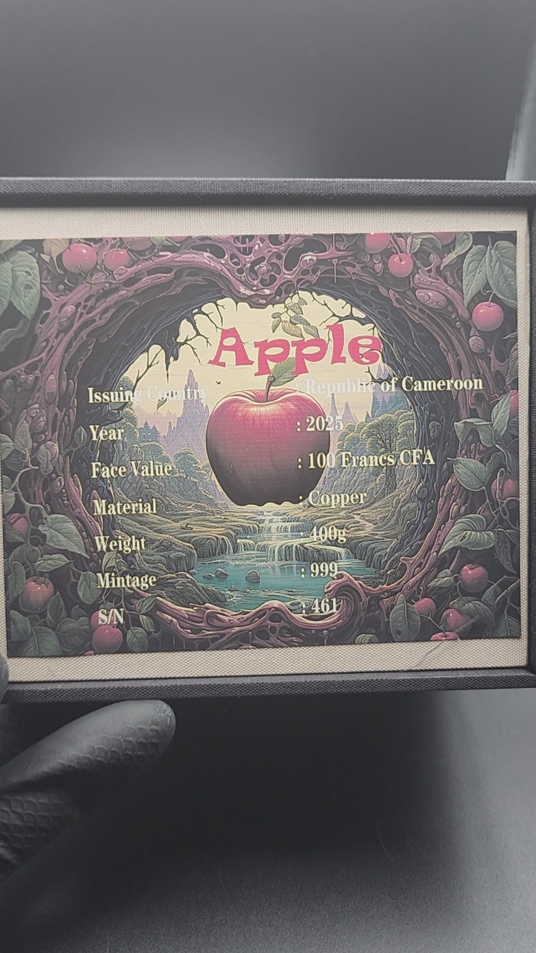 Cameroon "Most Realistic Apple" 400 gram Copper Coin