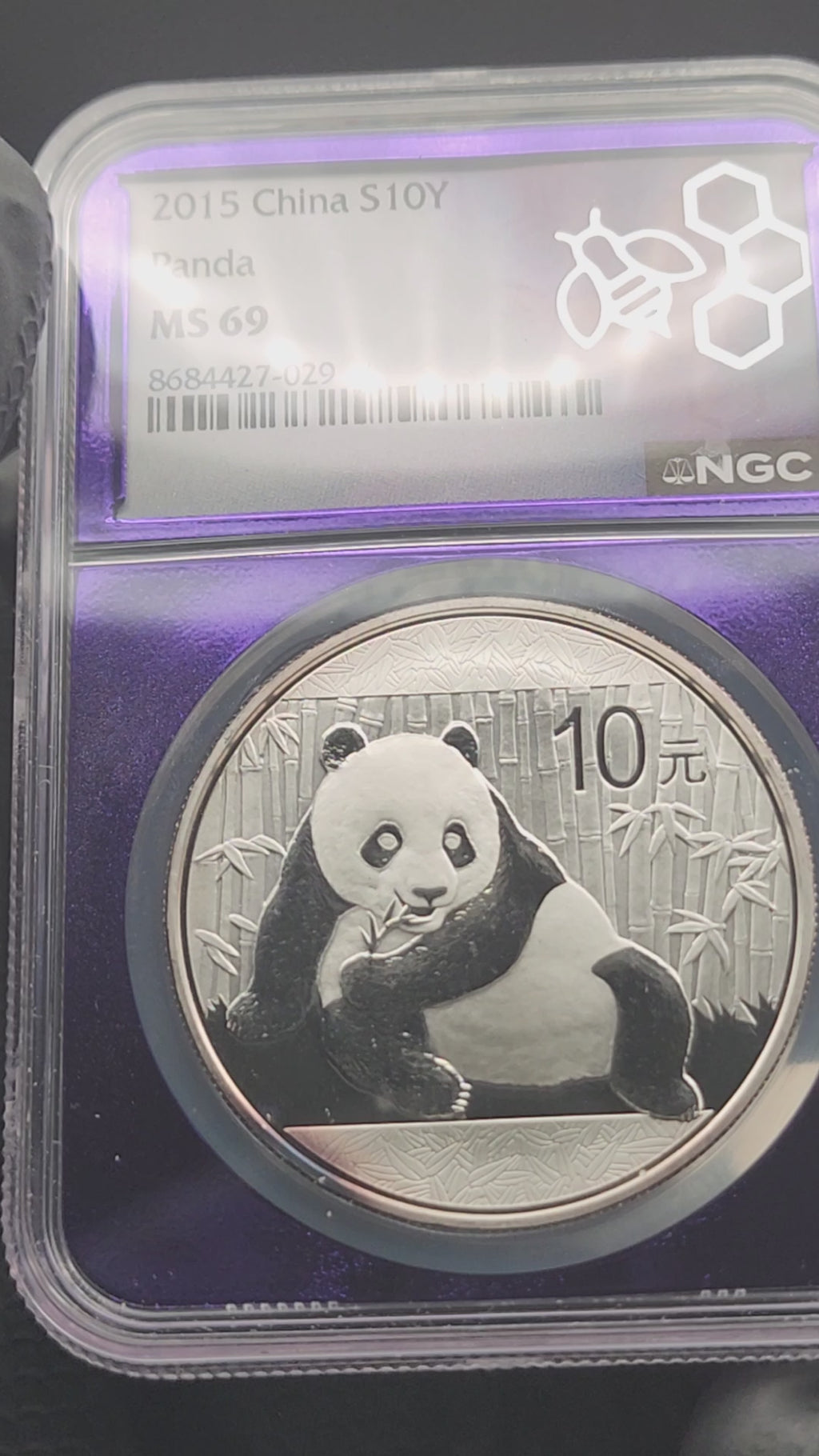 2015 China Silver Panda 1 oz NGC MS69