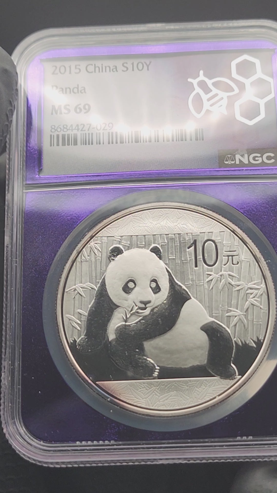 2015 China Silver Panda 1 oz NGC MS69