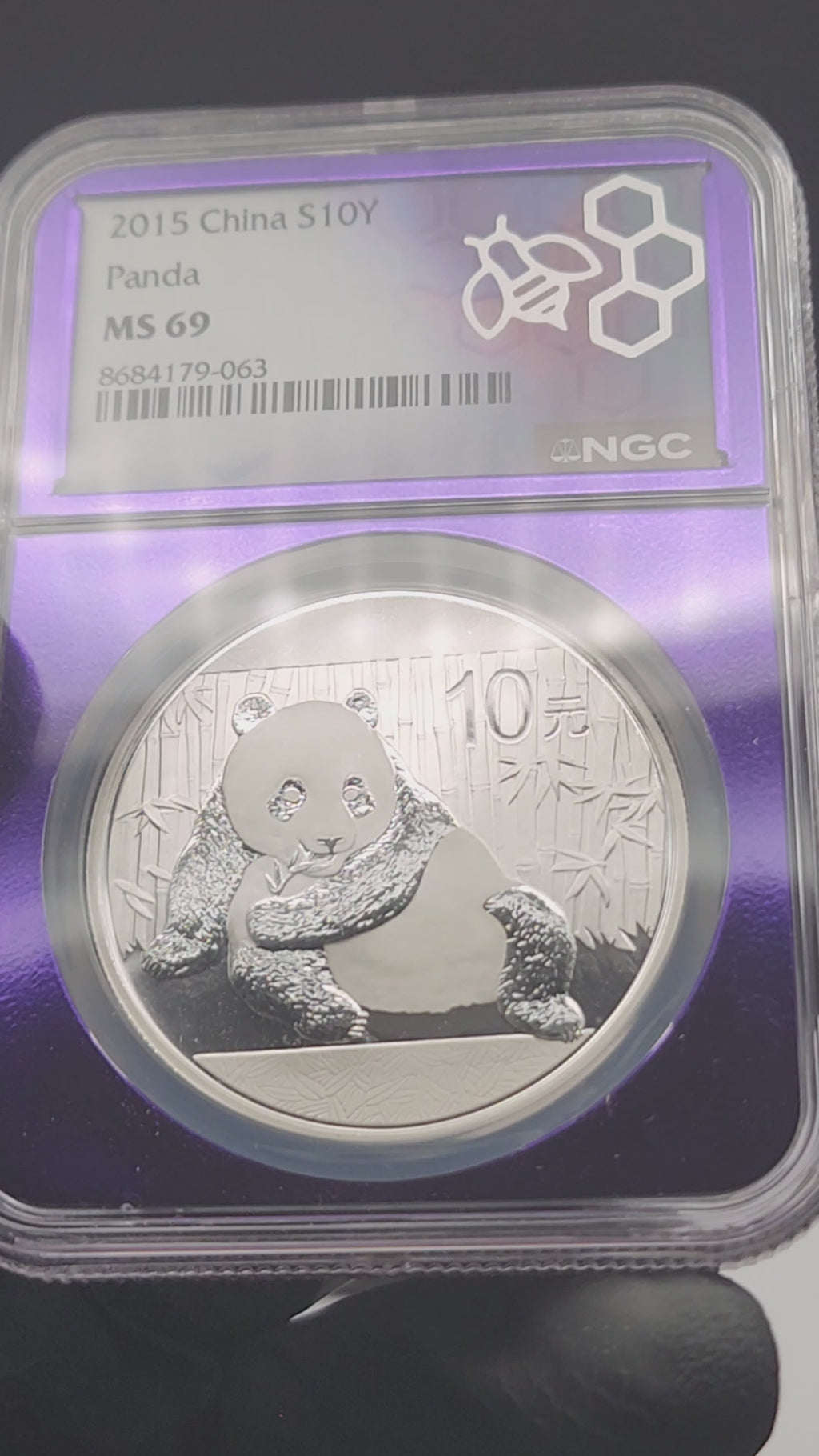 2015 China Silver Panda 1 oz NGC MS69
