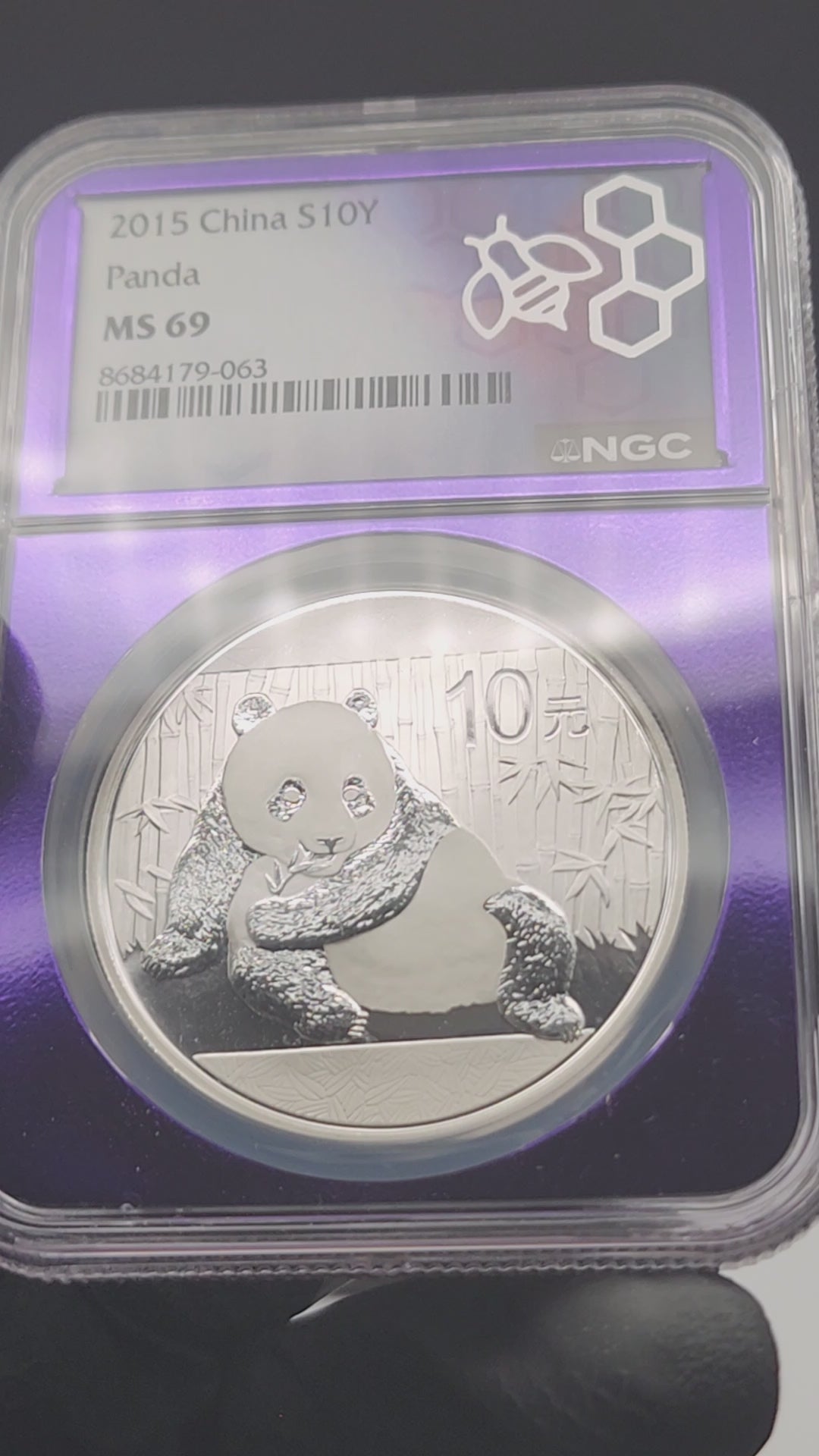 2015 China Silver Panda 1 oz NGC MS69