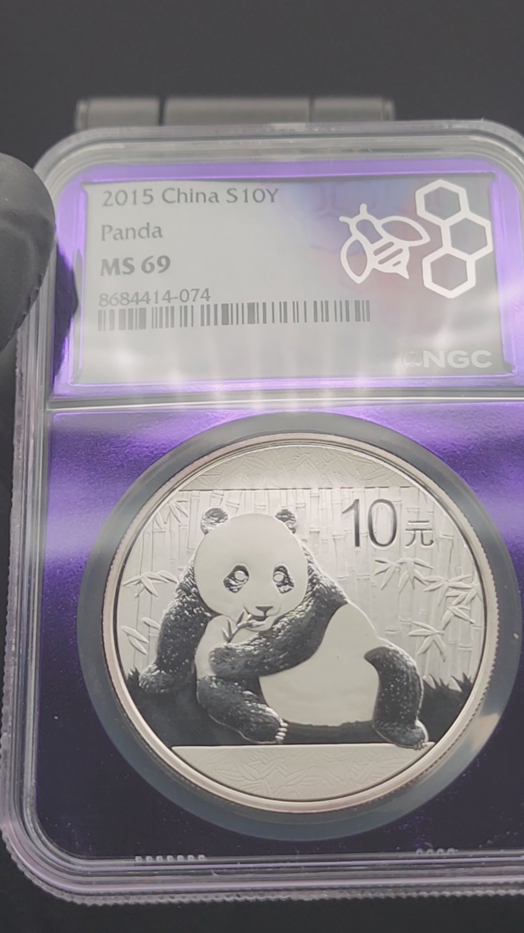 2015 China Silver Panda 1 oz NGC MS69