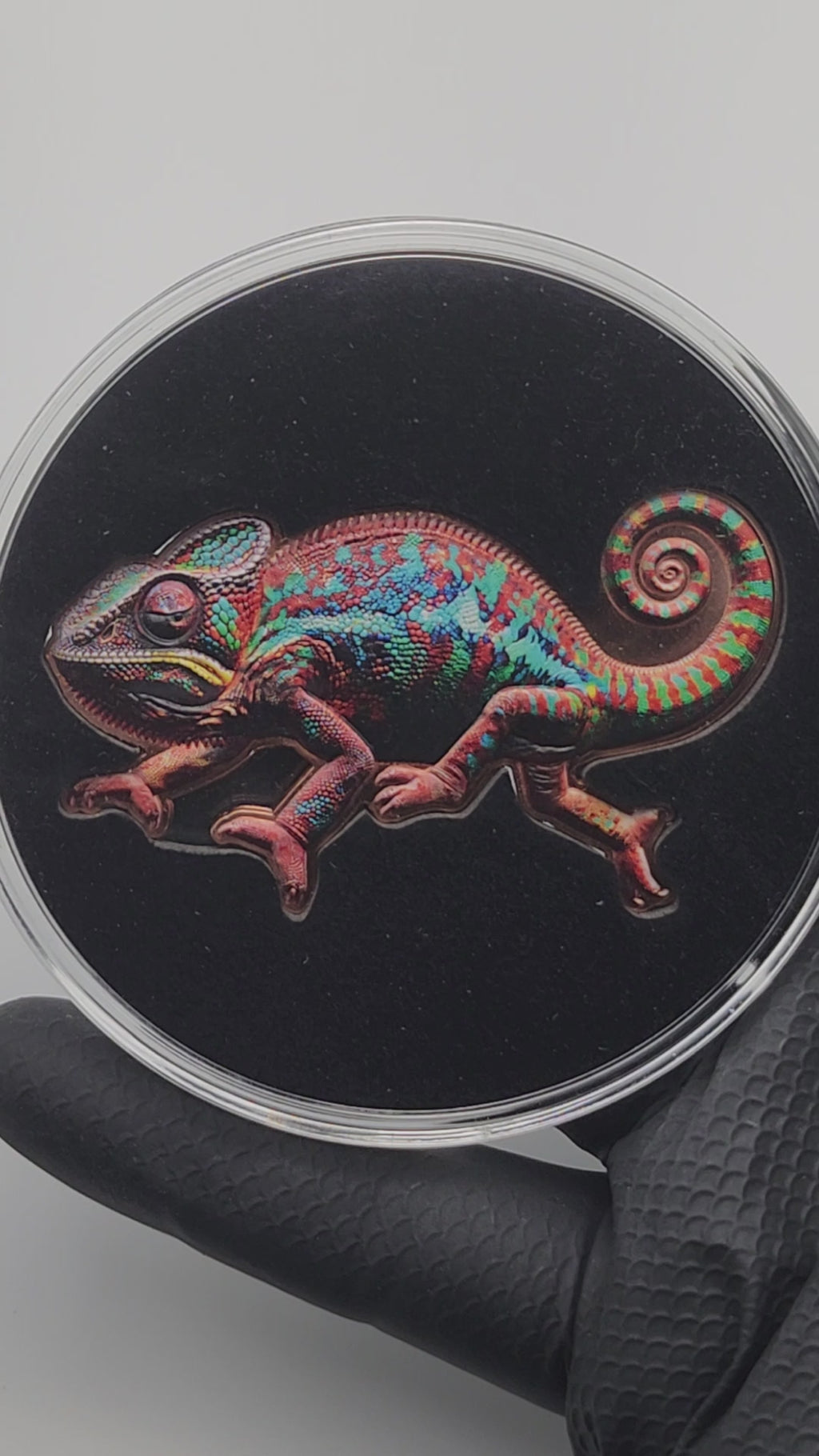 Rainbow Chameleon Shaped Colorized 1 oz Copper Medal