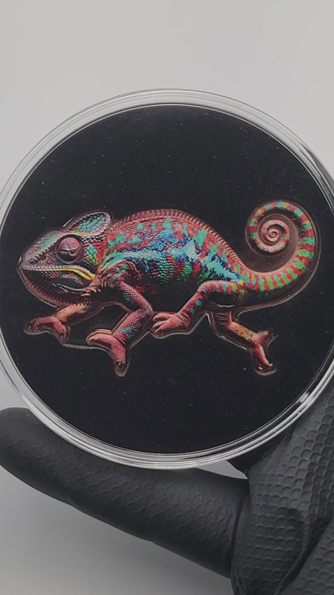 Rainbow Chameleon Shaped Colorized 1 oz Copper Medal