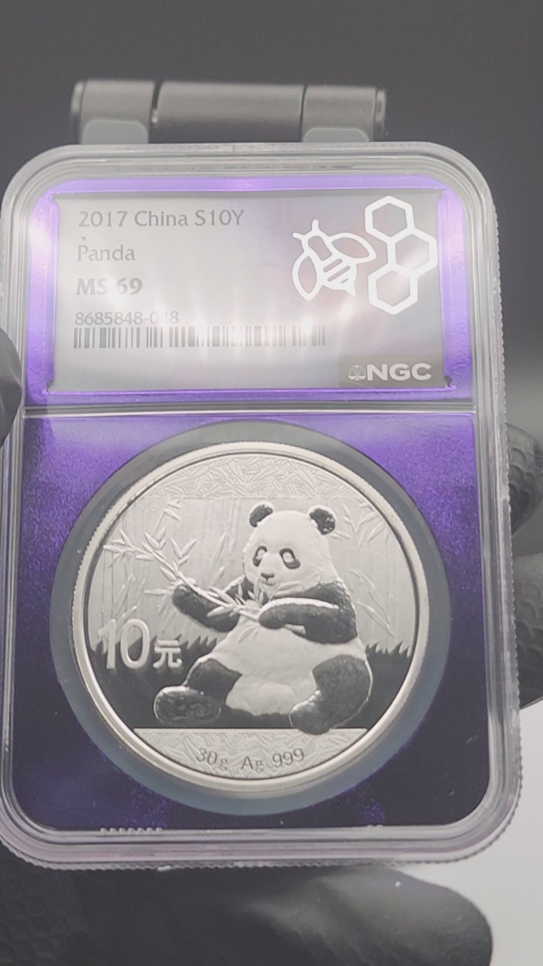 2017 China Silver Panda 30g NGC MS69